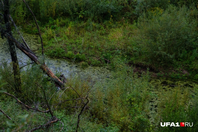 Выглядит не очень | Источник: Булат Салихов / UFA1.RU