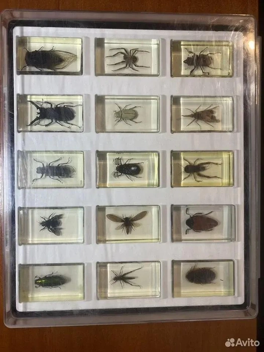 Как вам такое?  | Источник: Авито 