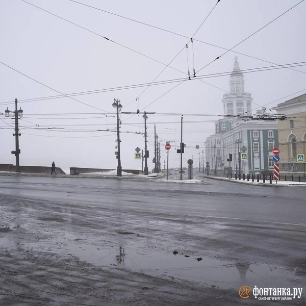 Источник: Павел Даиси / «Фонтанка.ру»