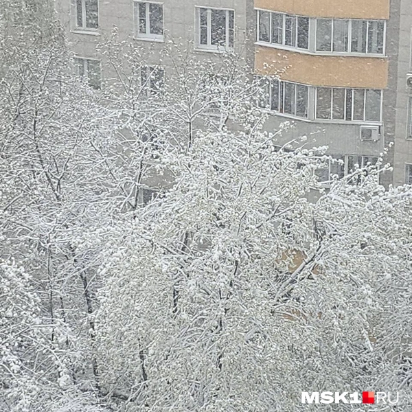 Источник: читатель MSK1.RU