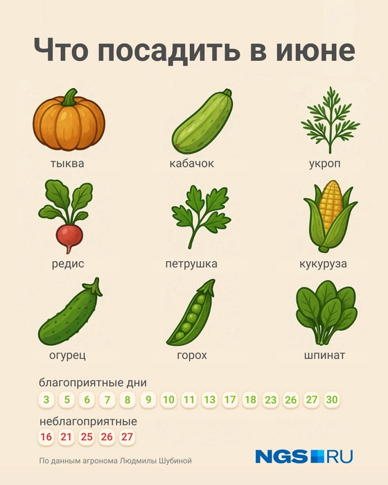 Благоприятных дней для работы на даче в июне много! | Источник: Юрий Орлов / Городские медиа