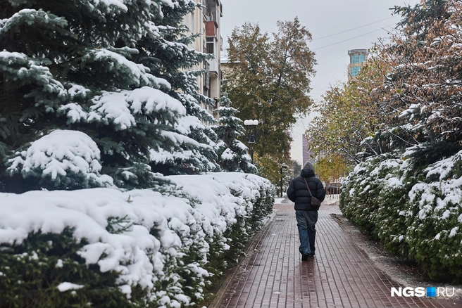 Снегопадов в ближайшие три дня синоптики не прогнозируют | Источник: Александр Ощепков / NGS.RU