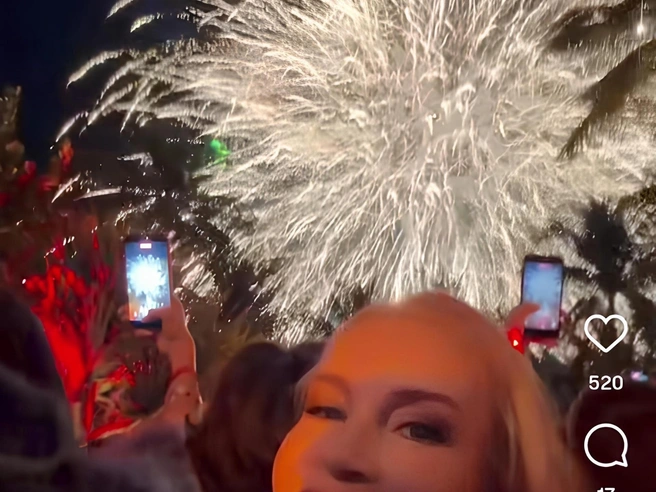 Екатерина Одинцова встретила Новый год в Майами, наблюдая за салютом | Источник: odintsovaprtrend / Instagram (экстремистская организация, деятельность запрещена на территории РФ)