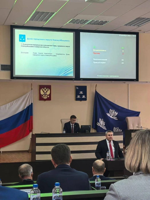 Депутаты приняли отставку главы города единогласно | Источник: Алексей Лескин / t.me