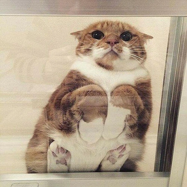Источник: соцсети