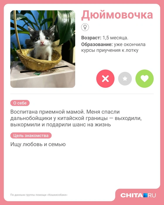 Источник: Юрий Скулыбердин / Городские медиа