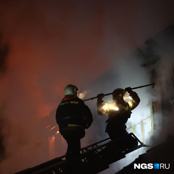 Источник: Александр Ощепков / NGS.RU