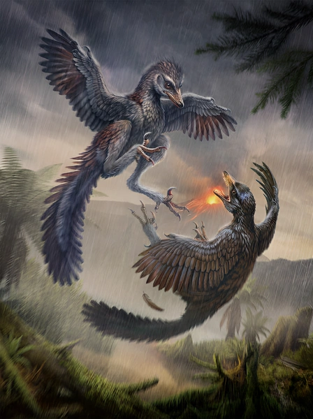 Реконструкция внешнего вида Yuezhuornis yangyuanensis | Источник: Chung-Tat Cheung