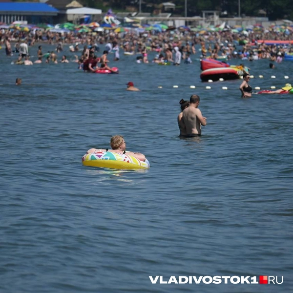 Источник: Елена Буйвол / VLADIVOSTOK1.RU