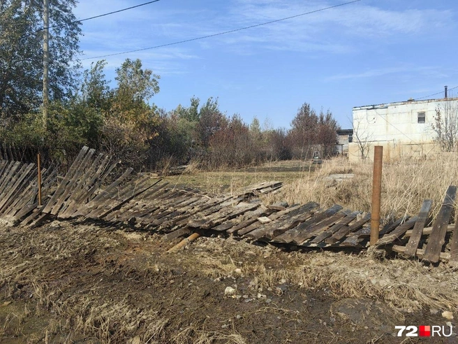Владельцу участка не повезло. Забор придется восстанавливать  | Источник: Павел Красоткин / 72.RU 