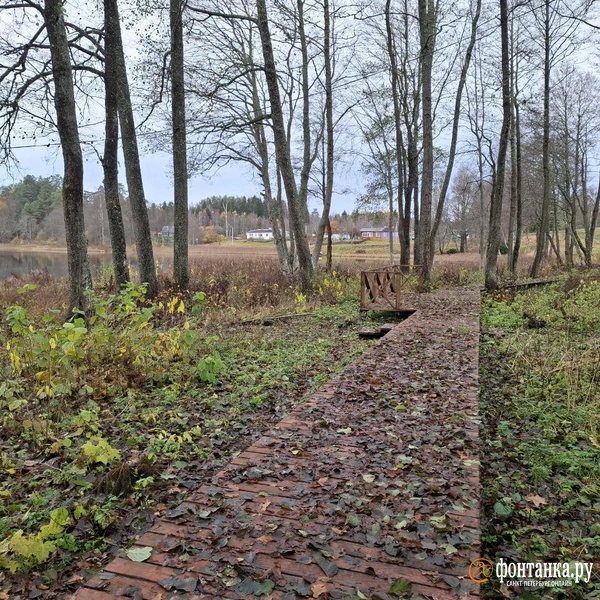 Источник: Ирина Багликова / «Фонтанка.ру»