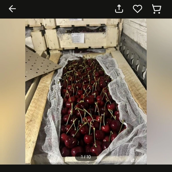 Разброс цен большой | Источник: «Авито»