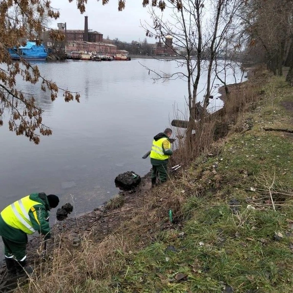 Источник: Комитет по благоустройству СПб