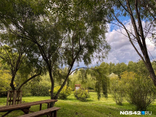 Источник: Елизавета Богатырева / NGS42.RU