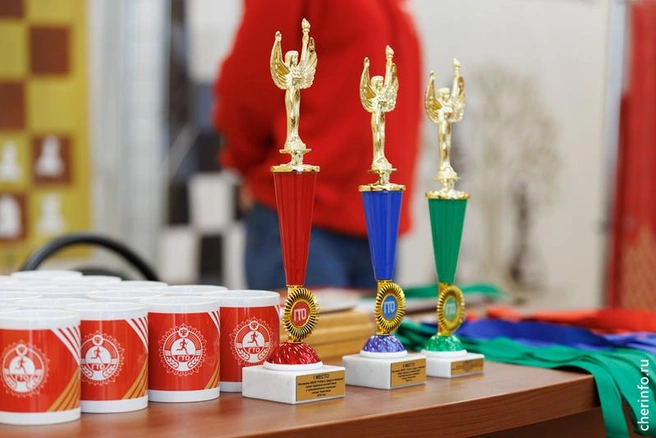 Источник: st.cherinfo.ru