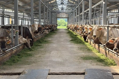 Ситников подписал постановление о единой системе племхозяйств