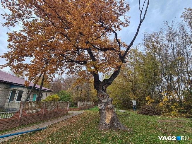 Село красивое, но умирает в плане инфраструктуры | Источник: Светлана Коновалова / YA62.RU