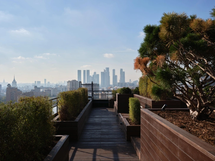 Источник: Максим Лоскутов