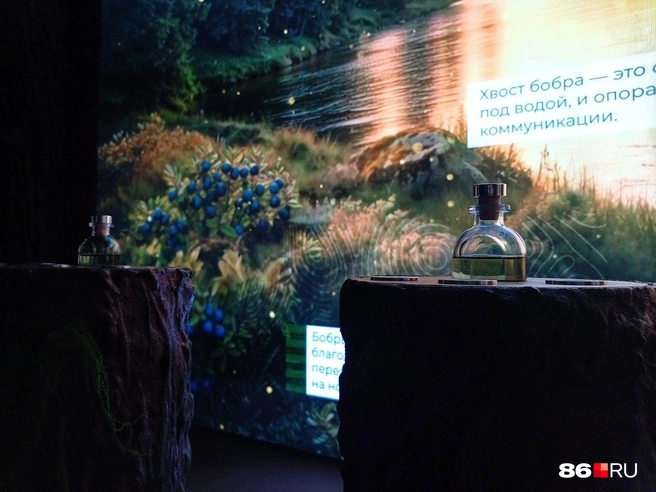 Вы знаете, чем пахнет тайга? Если нет, то вам в НЦ «Россия» | Источник: Мария Гришкина / 86.RU