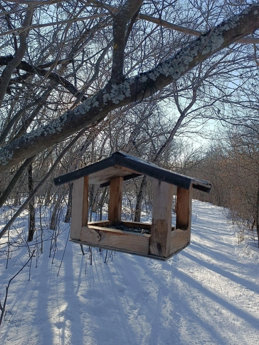 Источник: Татьяна Кузнецова