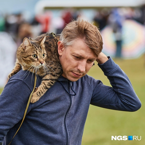 Кто-то взял с собой кота | Источник: Александр Ощепков / NGS.RU