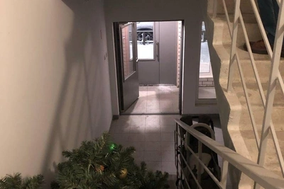 В Барнауле двое пытались украсть новогоднюю ёлку