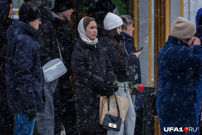 Одинокая роза на остановке | Источник: Булат Салихов / UFA1.RU