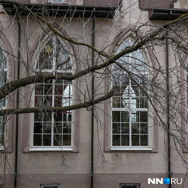 Источник: Наталья Бурухина / NN.RU