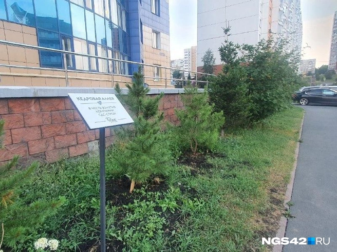 Источник: Полина Чернядьева /NGS42.RU