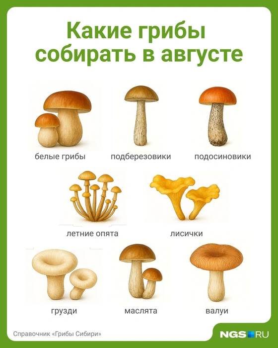 Источник: Юрий Орлов / Городские медиа