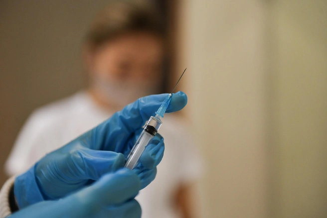 Ищите и обрящете. В Петербурге устроили квест для пострадавших от укусов животных, а антирабический центр закрыли | Источник: Артем Устюжанин / E1.RU