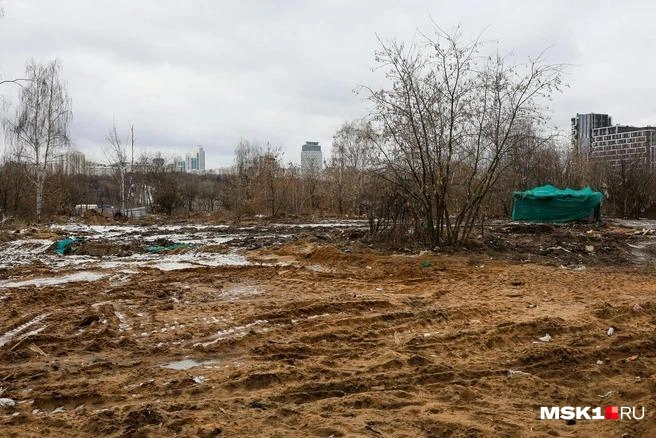 До недавнего времени Мневниковская пойма была одним из самых пустых районов — сейчас здесь развернулась активная стройка | Источник: Артем Устюжанин / MSK1.RU