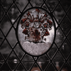 userpic__Taro Bellatrix