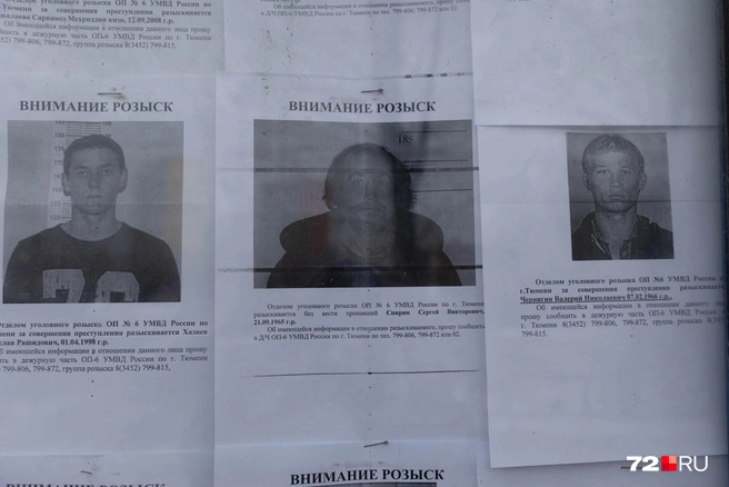 Источник: Ирина Шарова / 72.RU