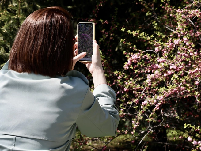 Красота, которую видит каждый по-своему. | Источник: Наталья Лапцевич 