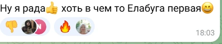 Источник: Светлый Елабуга / T.me