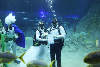 Югорская пара отметила годовщину брака под водой