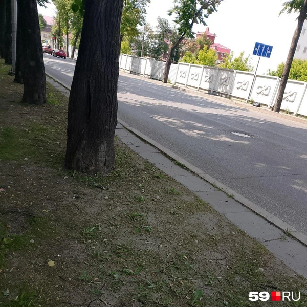 Центр города, напротив ТЮЗа: на газонах по Екатерининской травы почти не осталось | Источник: Татьяна, читатель 59.RU 