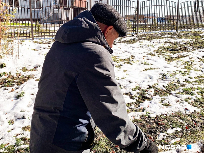 Источник: Татьяна Ирискина / NGS42.RU