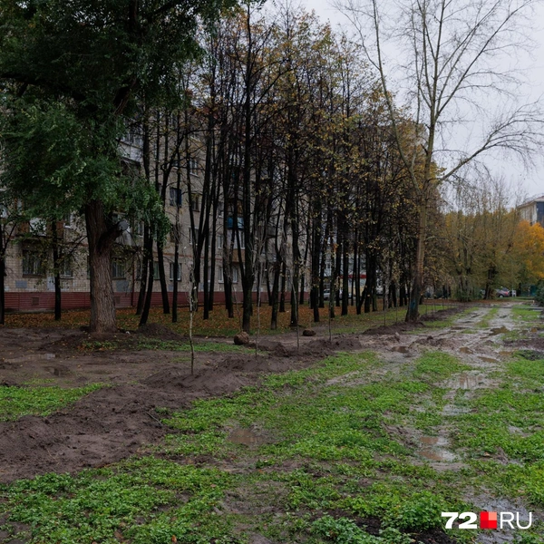 Источник: Ирина Шарова / 72.RU