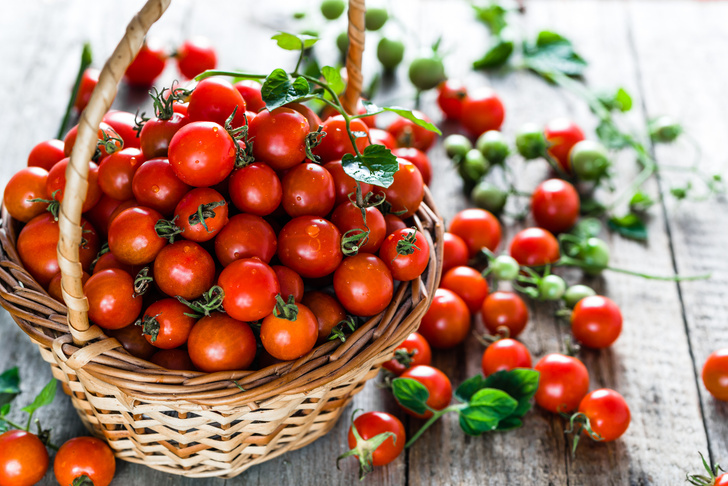 почему нельзя есть помидоры каждый день