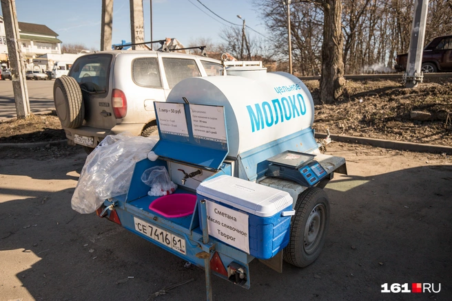 Поголовье молочного скота за 10 лет снизилось на 40% | Источник: Евгений Вдовин / 161.RU