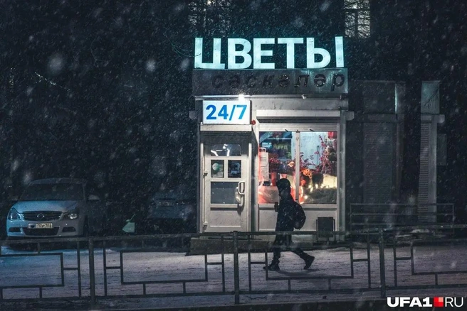 Зимние цветы | Источник: Булат Салихов