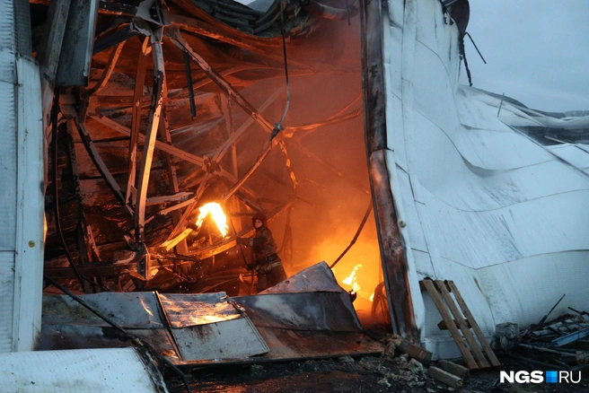 Общая площадь здания — 2000 квадратных метров | Источник: Андрей Бортко / NGS.RU