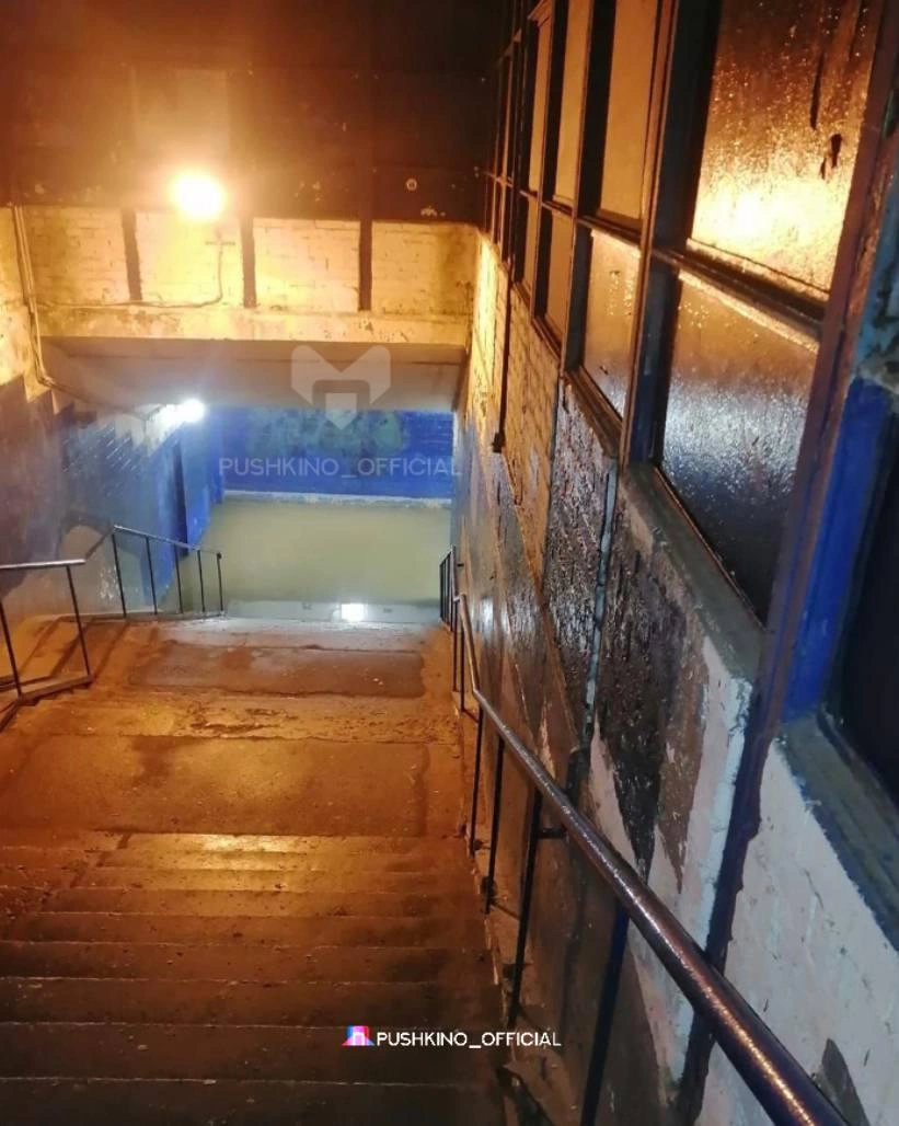 Источник: Pushkino_official | НОВОСТИ / T.me 