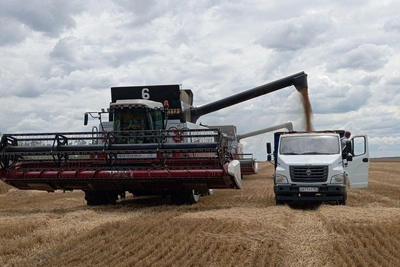 Moscow didn't understand: Rostov region stuck with failed export plan