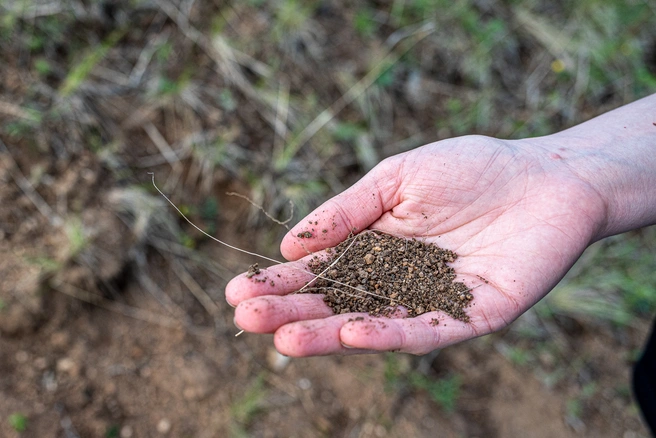 Опасны ли почвы в Мурманской области? Выясняли специалисты Россельхознадзора | Источник: Олег Фёдоров / CHITA.RU