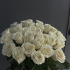 userpic__sherbaco94