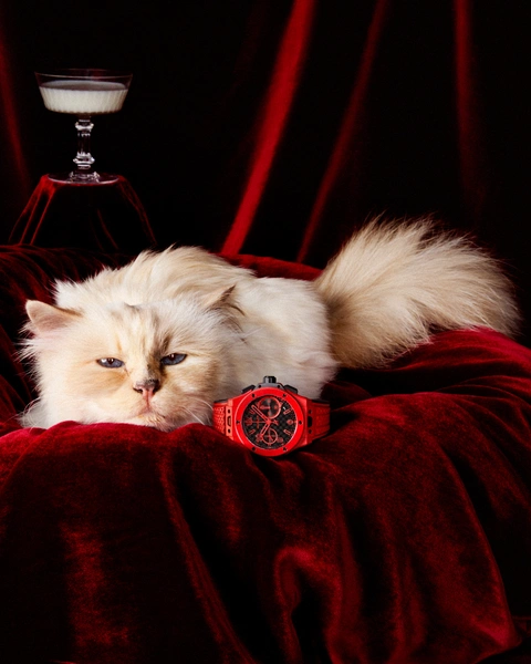Источник: Hublot