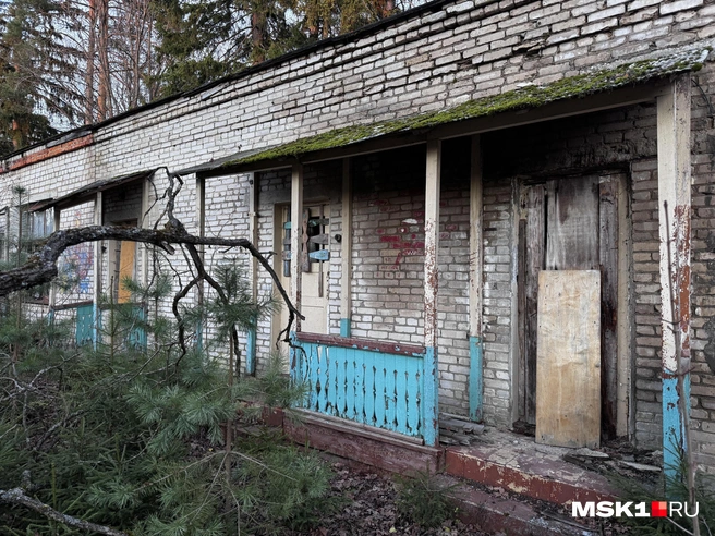 Часть дверей забиты, чтобы внутрь было не пройти | Источник: Алина Мельникова / MSK1.RU